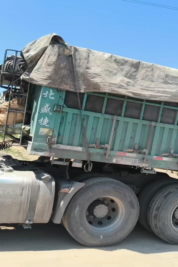 高度20厘米薄荷