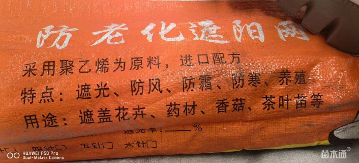 遮阳网