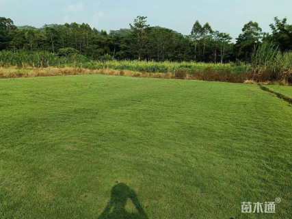 台湾青