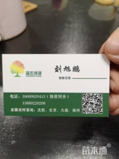 18公分美国红枫