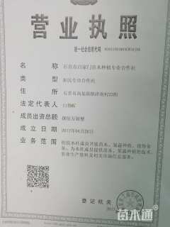 50公分构树