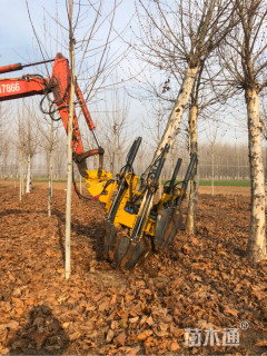 勤鑫挖树机移树机