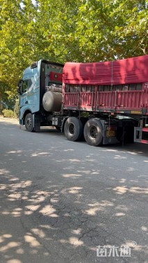 高度10厘米福禄考