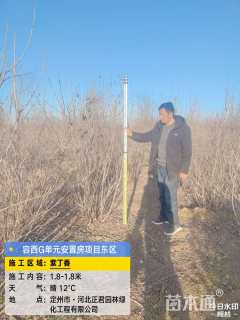 1公分紫丁香