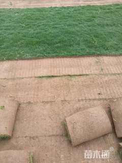 草毯