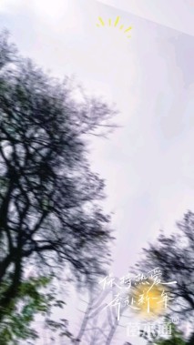 40公分梅花