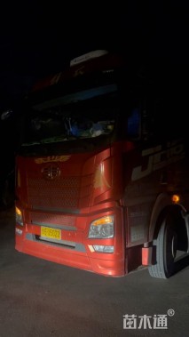 高度15厘米鼠尾草