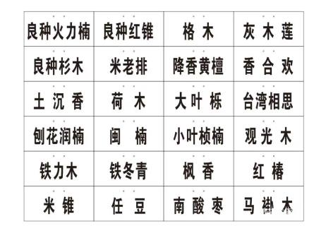 裸干高20厘米苏铁