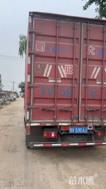 高度20厘米长春花