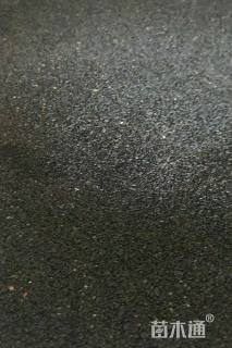 耧斗菜种子耧斗菜种子