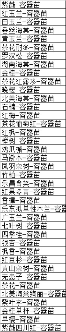 容器苗