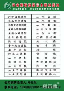 8公分榆叶梅