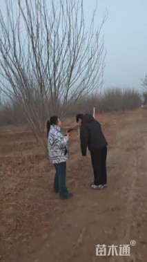 白蜡