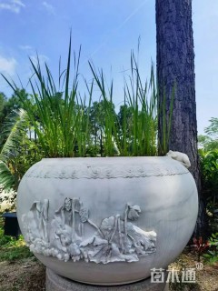 石雕花盆，水钵，花架