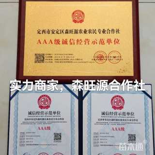 高度250厘米侧柏