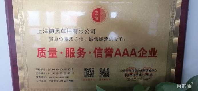 草块状中华结缕草