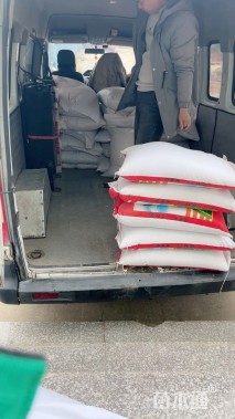 太阳花种子太阳花种子