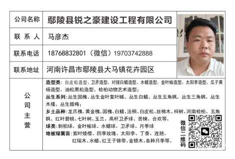 高度100厘米红叶榆叶梅