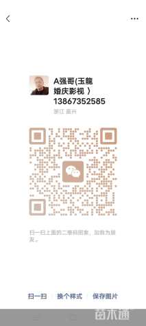 47公分榉树