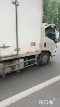 高度10厘米黑心菊