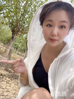 8公分骨里红梅