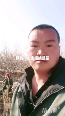 12公分八棱海棠