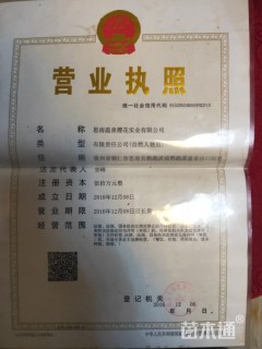 10公分樱花