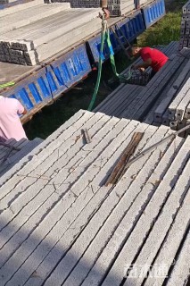温室大棚