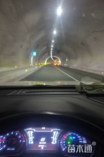 20厘米炮仗花