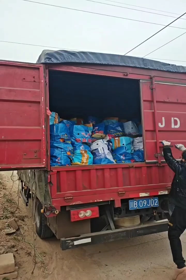 高度30厘米落新妇