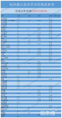 高度5厘米麦冬