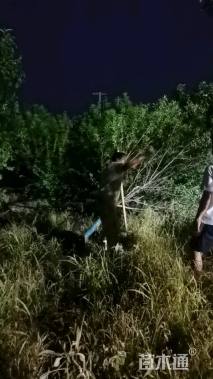 18公分白蜡