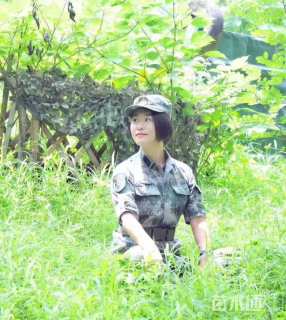 高度40厘米金边黄杨