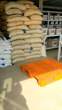 爬山虎种子