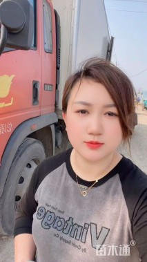 高度50厘米凤梨