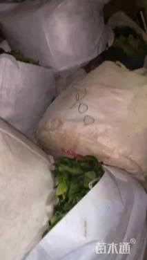 高度20厘米非洲茉莉