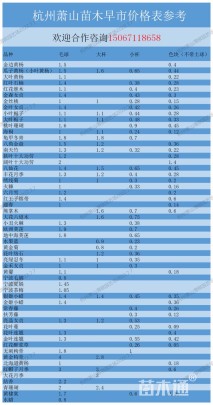 高度200厘米花石榴