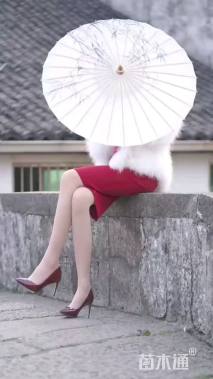 高度100厘米三角梅