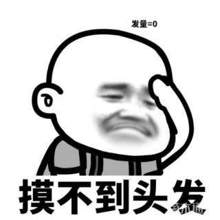 50公分桂花