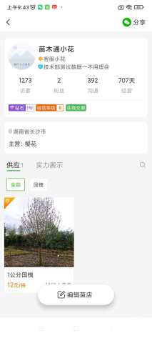 22公分银杏