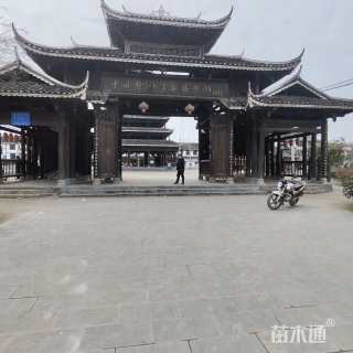 7公分杨梅