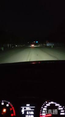 高度300厘米丛生黄栌