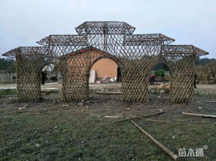 450厘米造型紫薇