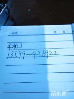 16公分罗汉松