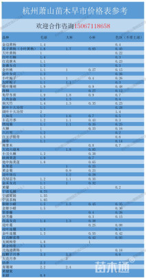 高度35厘米水腊