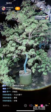 加贺廉