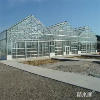 温室大棚