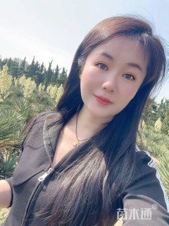 高度50厘米剑麻