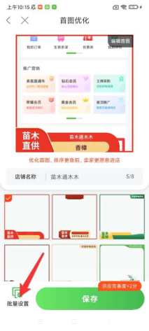 20公分香樟