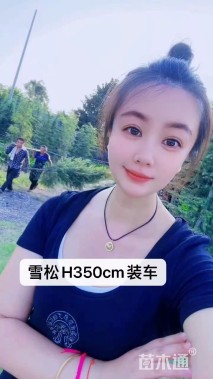 高度400厘米雪松